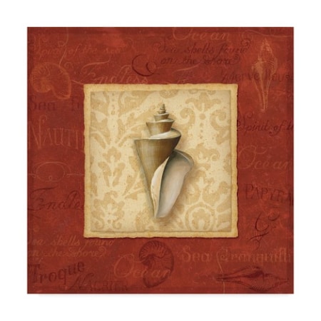 Lisa Audit 'Red Frame Shell III' Canvas Art,14x14